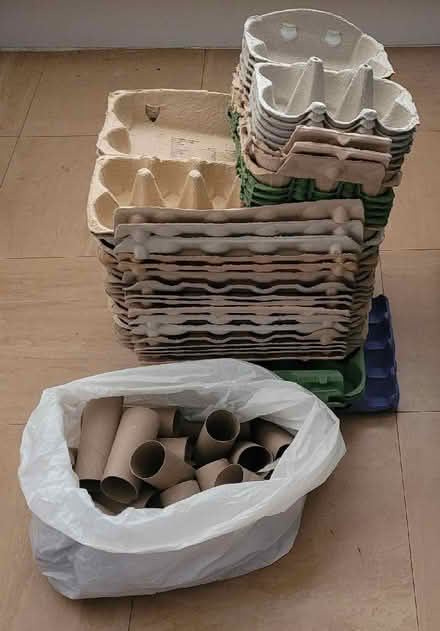 Photo of free Cardboard Egg Carton Boxes & Kitchen / Toilet Paper Tubes (Moseley B13) #1