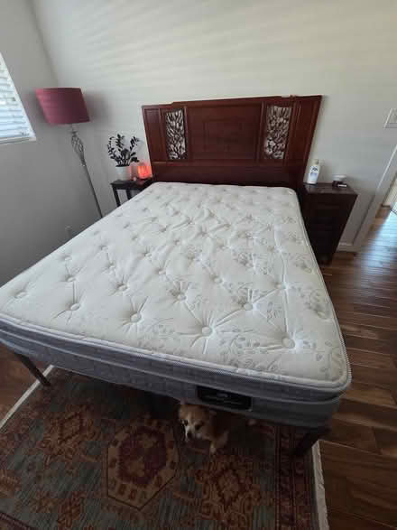 Photo of free Serta Perfect Sleeper Mattress set (Cambrian, San Jose) #1
