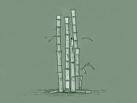 Photo of Tall Bamboo canes or cucumber plant supports (Hillingdon UB10) #1