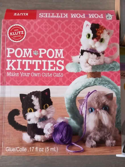Photo of free pom pom kitties (RG6 near Palmer Park) #1