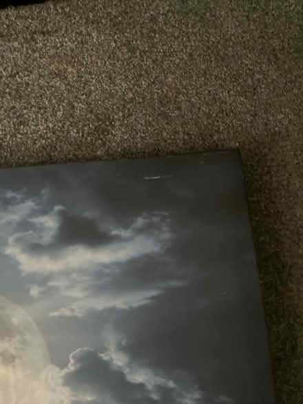 Photo of free Large picture (Tamworth B77) #3