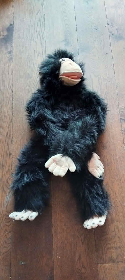 Photo of free Big chimp toy puppet (Finchley Church End N3) #3