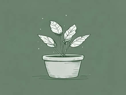 Photo of free Some plant pots, selection, fairly good sizes (Haygate TF1) #1