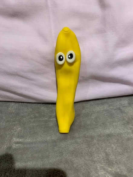 Photo of free Toys Part 10: The last Two (Twickenham TW1) #2