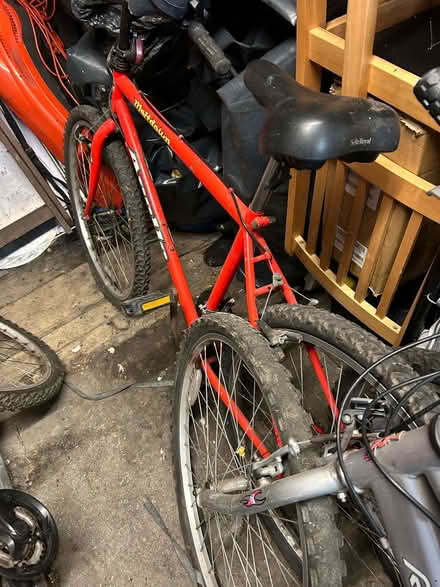 Photo of free Bikes, L17 (Aigburth L17) #2