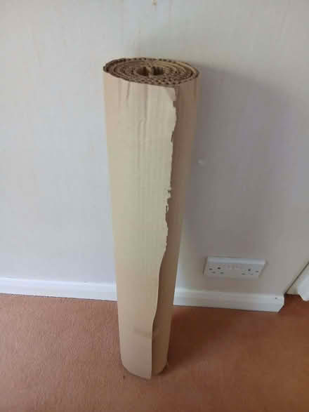 Photo of free Length of corrugated card (Maidenhead SL6) #1