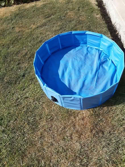 Photo of free Dog paddling pool (Ashfield CA14) #1