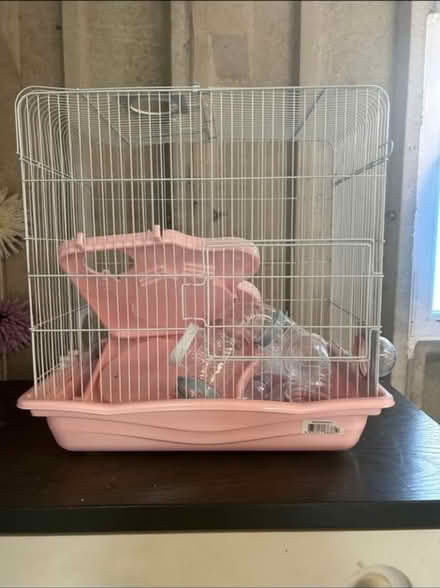 Photo of free Hamster / mouse cage (Brasside) #3