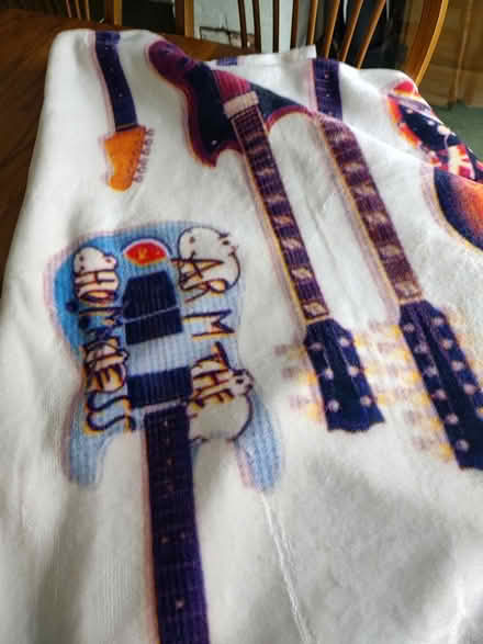 Photo of free Twin blanket (Odenton) #4