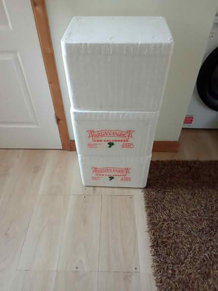 Photo of free Polystyrene cool boxes (West Green, Crawley RH11) #1