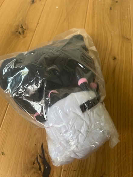 Photo of free Kuromi Plush Toy. Factory Packaged. (Southsea PO4) #3