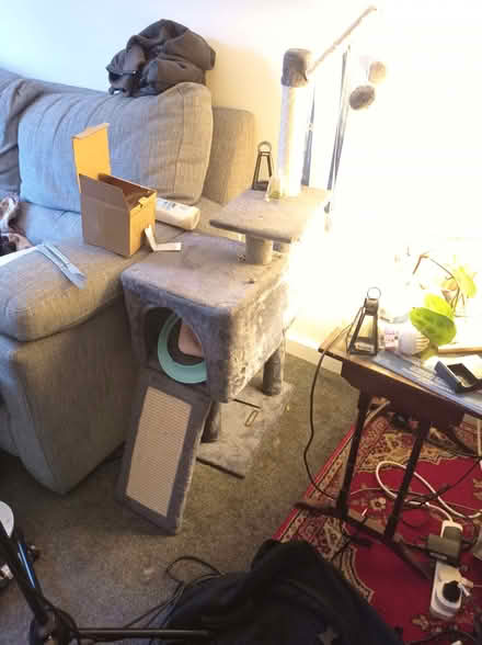 Photo of free Cat tree, house and tube (Knighton LD7) #3