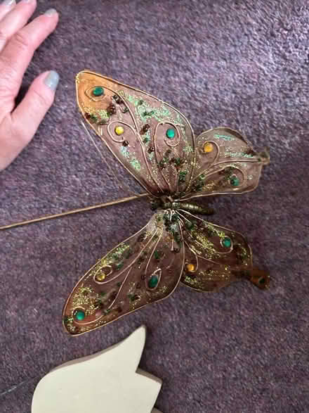 Photo of free Plant pot decorations (Funtley PO17) #4