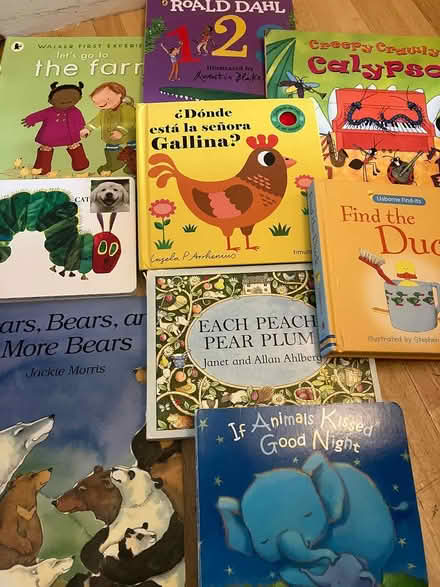 Photo of free Children's books (Morningside EH10) #1