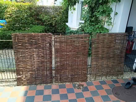 Photo of free Garden/bin screening (Grove Rd Windsor SL4) #1