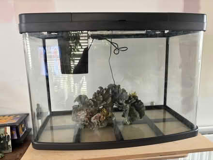 Photo of free 65 litre Fishtank (Great Baddow CM2) #1