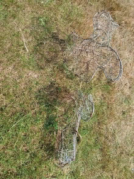 Photo of free Duck & squirrel topiary frames (Welwyn AL6) #1