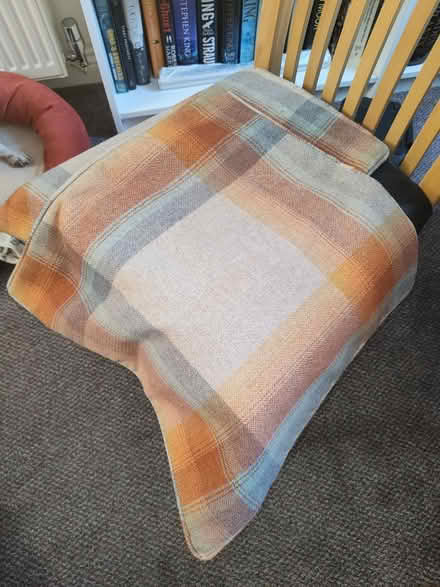 Photo of free 2 cushions and covers (Carterton OX18) #1