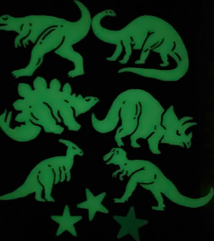 Photo of free Toys Part 7: The Dinosaur Collection (Twickenham TW1) #3