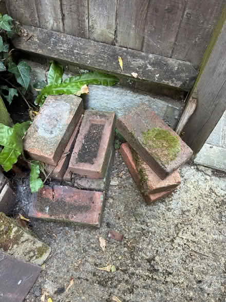 Photo of free Bricks (East Malling ME19) #1