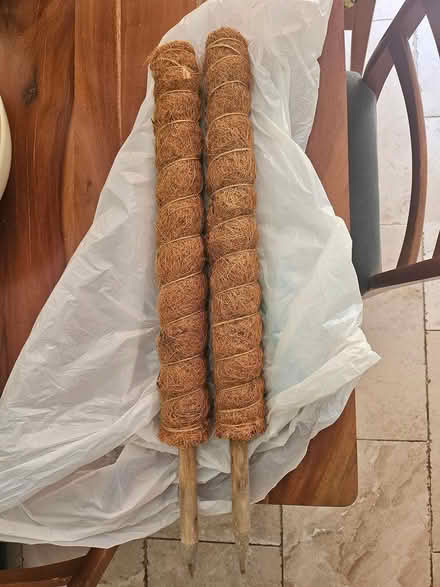 Photo of free Coconut fiber stakes (Winchester SO22) #1