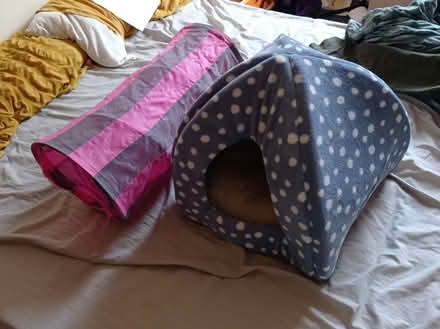 Photo of free Cat tree, house and tube (Knighton LD7) #1