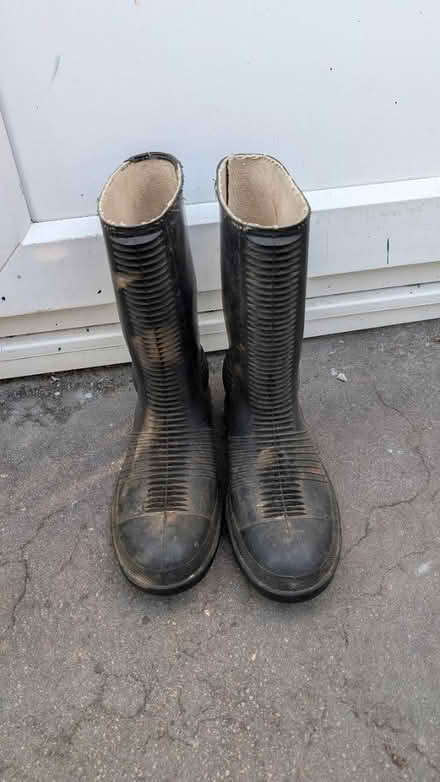 Photo of free Welly boots size 11 (TR1) #1