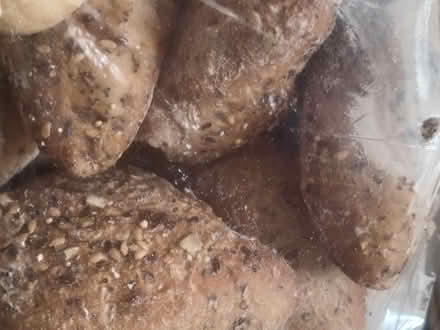Photo of free Loose Sainsbury's bread items (Loughton IG10) #2