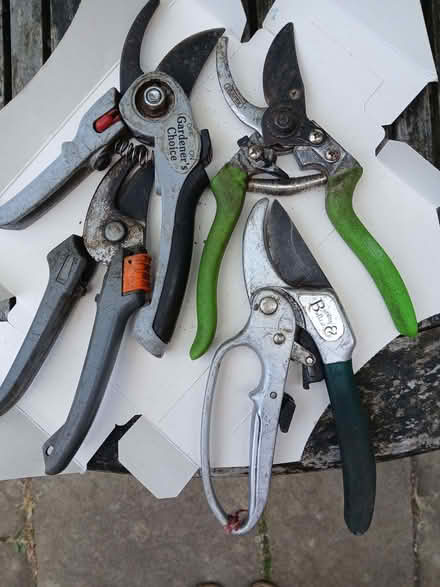 Photo of free Old Secateurs for repair? (University Area RG1) #1