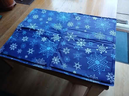 Photo of free Cat's cooling mat (Temple Cowley, OX4) #1