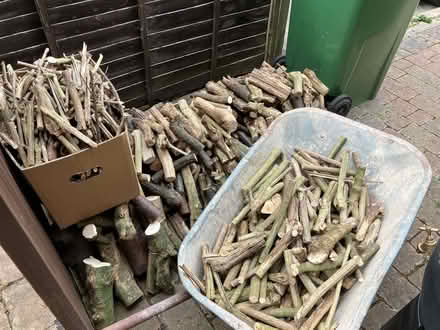 Photo of free Selection of firewood (City of Bristol BS7) #1