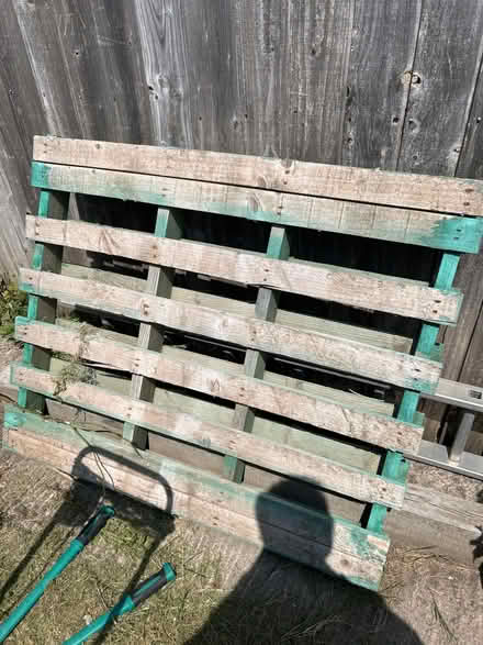 Photo of free Wooden pallet (Oldfield park BA2) #1