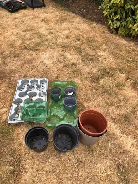 Photo of free Plastic plant pots (North Bretton PE3) #1