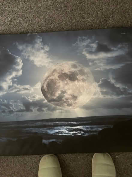 Photo of free Large picture (Tamworth B77) #4