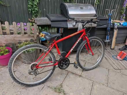Photo of free 2x bikes, body board and cricket set (Lower Green TN2) #2