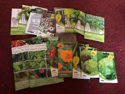 Photo of free Assorted Seeds (Elkstone GL53) #1