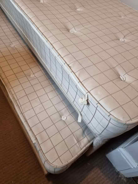 Photo of free Spare room bed (Lewes BN7) #2