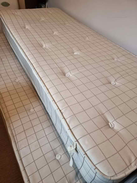 Photo of free Spare room bed (Lewes BN7) #1
