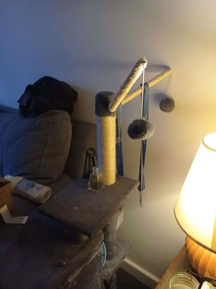 Photo of free Cat tree, house and tube (Knighton LD7) #2
