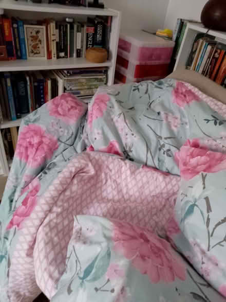 Photo of free Duvet +pillows (Bidston Moss CH43) #2