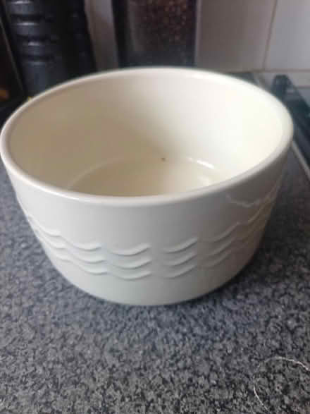 Photo of free Large dog food bowl (St Nicholas SG1) #1