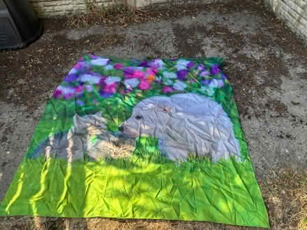 Photo of free Shower curtain (Newton Alfreton DE55) #1
