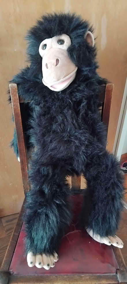 Photo of free Big chimp toy puppet (Finchley Church End N3) #2