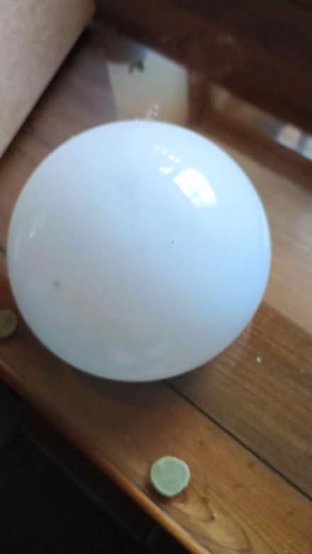 Photo of free Ceiling light fitting and cover (WR13. Cradley. Malvern.) #1