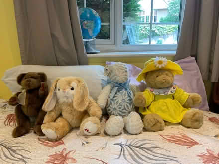 Photo of free Toys 1 (Twickenham TW1) #1
