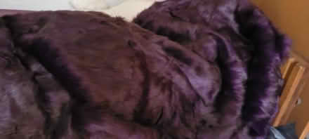 Photo of free Dark purple fur fabric (Ridgewood, 11385 near FPR) #1