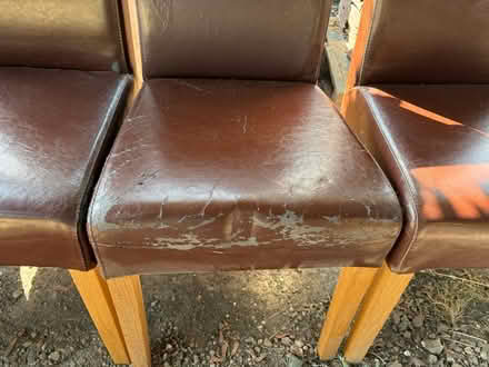 Photo of free 5 dining chairs (Newtown, Witchampton) #2