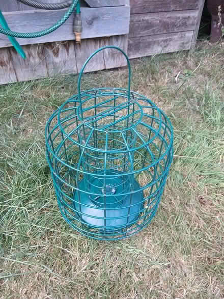 Photo of free Caged bird feeder for fat balls (Welwyn AL6) #1