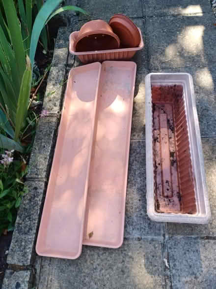 Photo of free Garden Pots Etc (Hollingbury BN1) #1