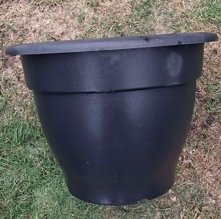 Photo of free Large plant pot (South Wootton PE30) #2